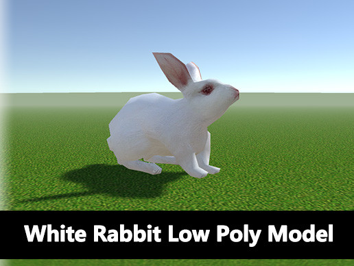 White Rabbit Low Poly Model | 3D Animals | Unity Asset Store