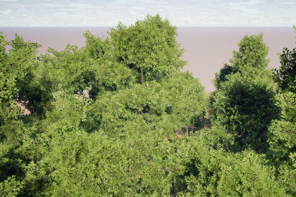 Realistic Tree Pack 7 (for HDRP)