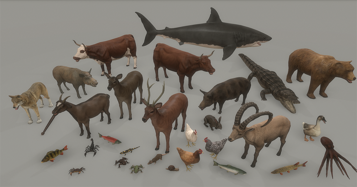 Anials Unity Animal pack deluxe | 3D Animals | Unity Asset Store
