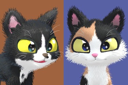 Cute Cat