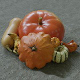 Pumpkin Pack