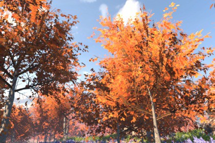 Mobile Tree Pack 21 (for URP)
