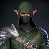 Elf Assasin Modular