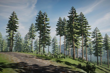 Pine Tree Bundle (Mobile)