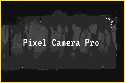 Pixel Camera Pro