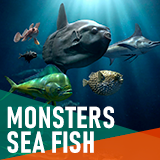 Monsters sea fish - large pack