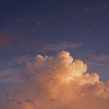 Hammer Mini Music Pack - Progressive House Sky Run