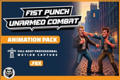 Fist Punch and Unarmed Combat Animation Pack