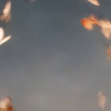 Mystic Asian Music Pack Vol1