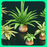Stylized Home Plants