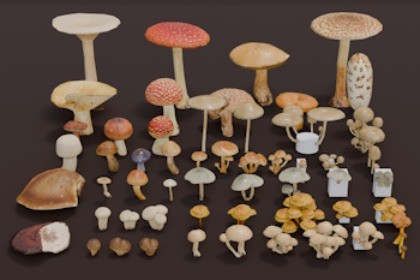 Mushrooms Bundle (62 Prefab + LOD)