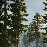 Pine Tree Bundle (Mobile)