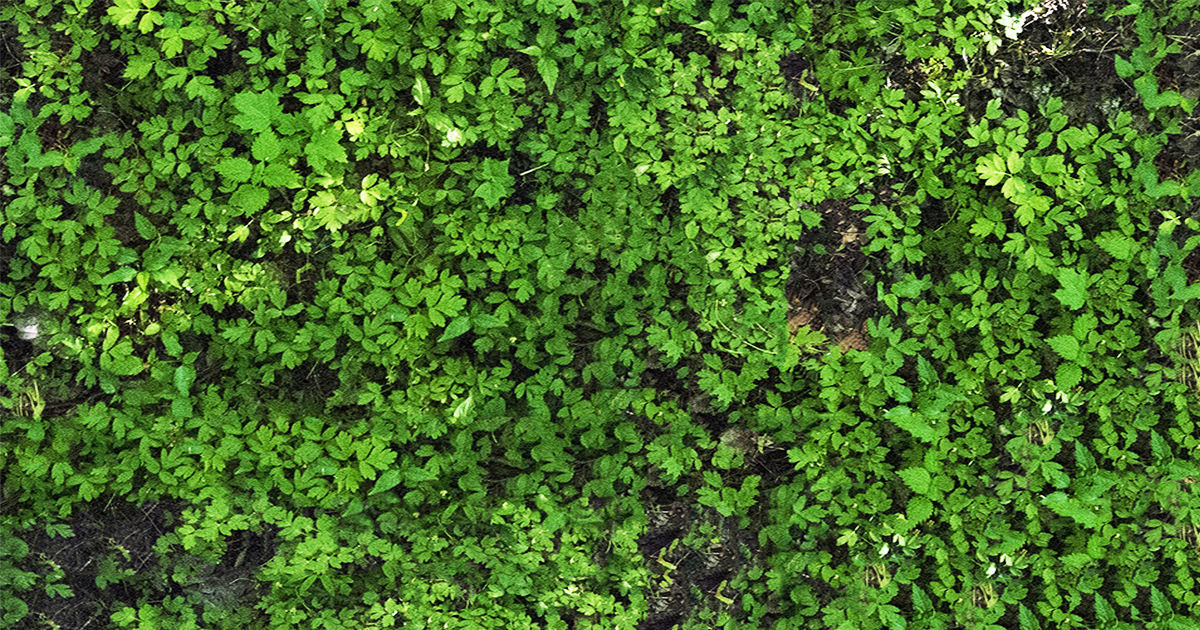 10 Ground Textures | 2D Floors | Unity Asset Store