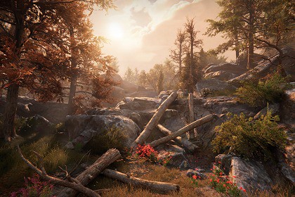 Juniper Pack - Toby Foliage Engine Assets