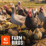 Farm birds - animals pack