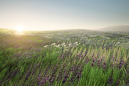 PolyArt Series - Grass & Flowers