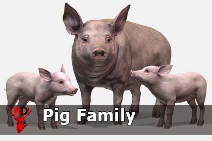 Pig Family