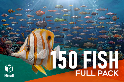 150 Sea fish - Full pack
