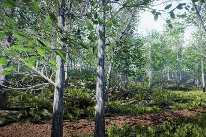Mobile Tree Pack 38 (for URP)