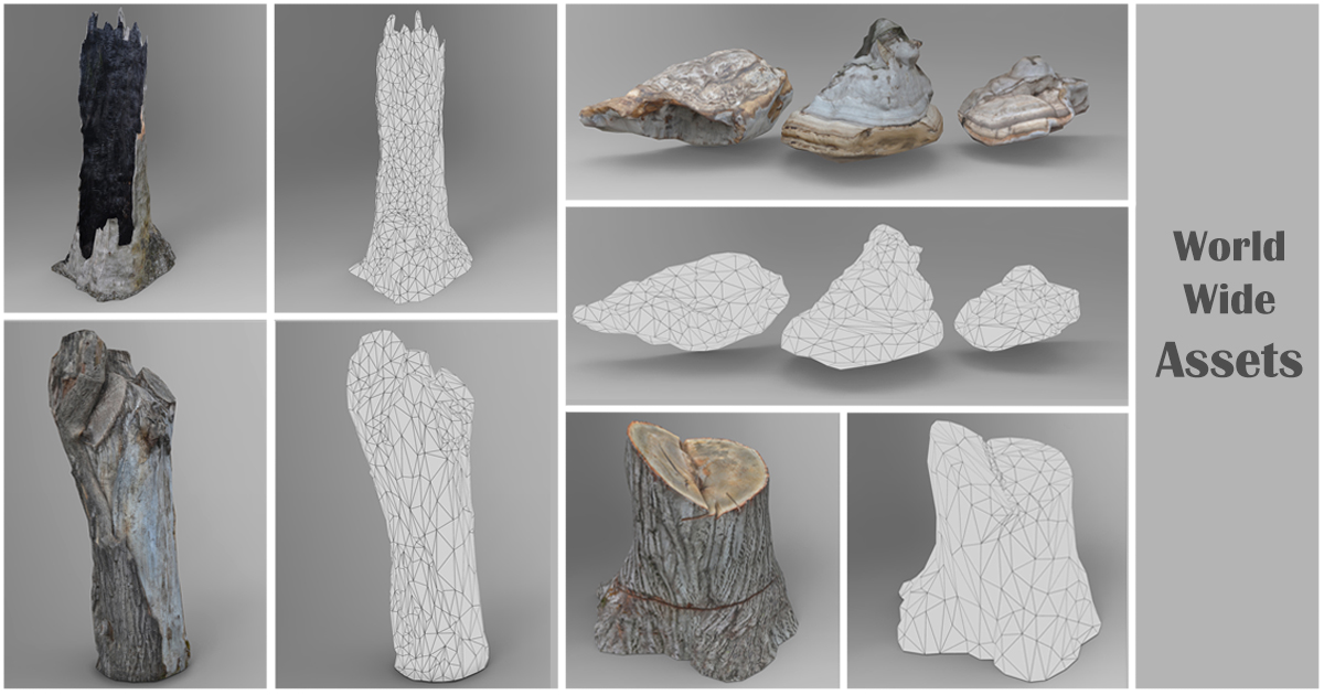 Tree Trunks, Stumps, Logs, Tiles, Rocks and Fungi Pack | 패키지 | Unity ...