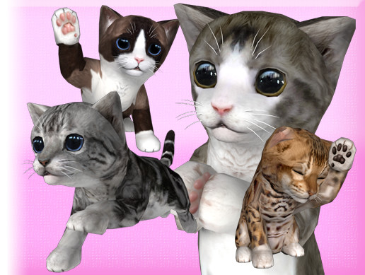 Cu Cat 2 | Characters | Unity Asset Store