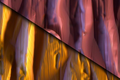 Tree Bark Texture & Material Vol. 08