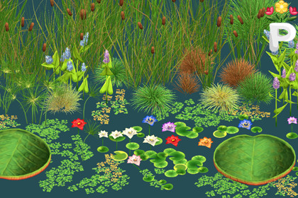 Nature Necessities - Stylized Water & Reed Plants