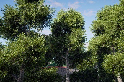 Realistic Tree Pack 3 (for HDRP)