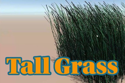 Tall Grass