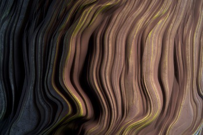 Tree Bark Texture & Material Vol. 04