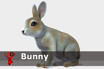 Bunny