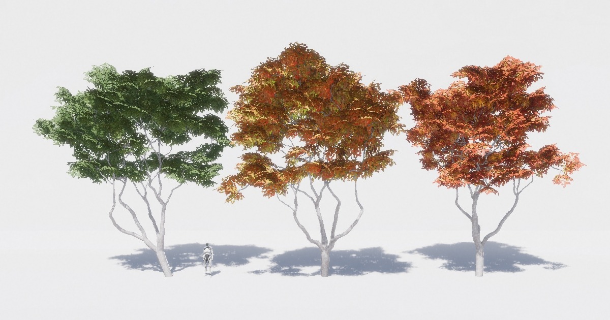 Maple Unity Japanese maple - Kaede | 3D 樹木 | Unity Asset Store