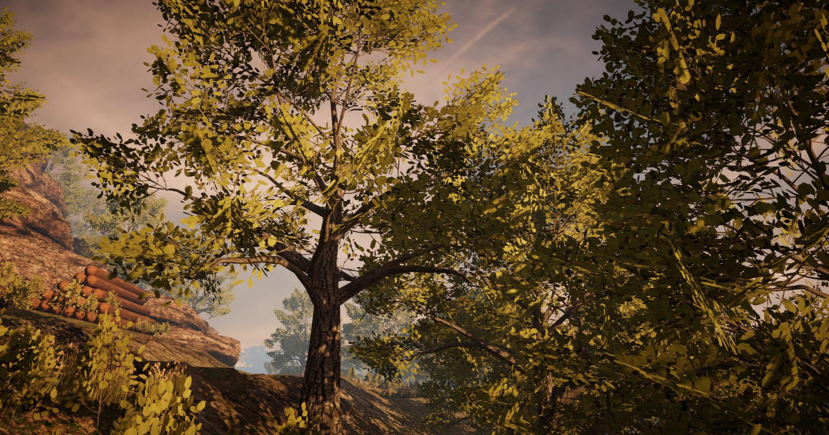 Mobile Tree Pack (2) | 3D Trees | Unity Asset Store