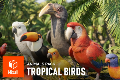 Tropical birds - animals pack