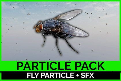 Fly Particles + Sound Effects