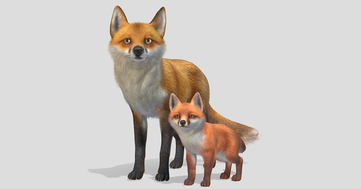 Fox - Family | Characters | Unity Asset Store