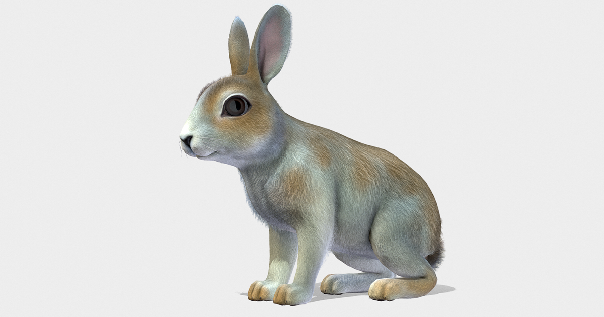 Bunny | Characters | Unity Asset Store