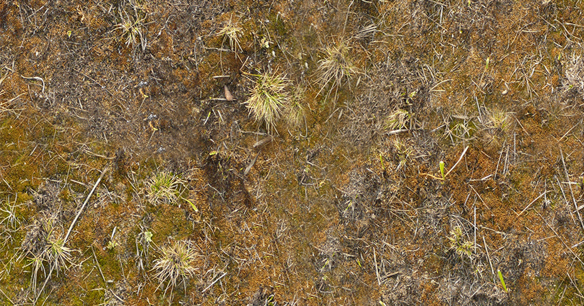 Five Ground Textures | 2D Floors | Unity Asset Store