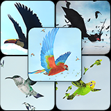 Bird Flock Bundle 2 | 2026