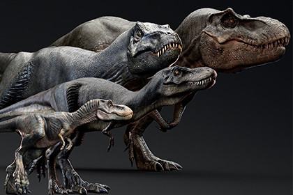 Dinosaur Trex STAN Family Bundle