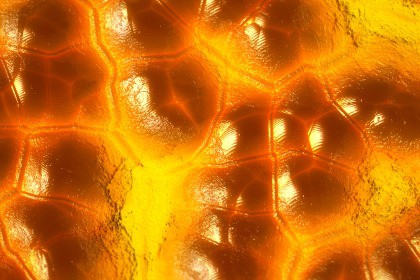 Crystal Texture & Material Vol. 30