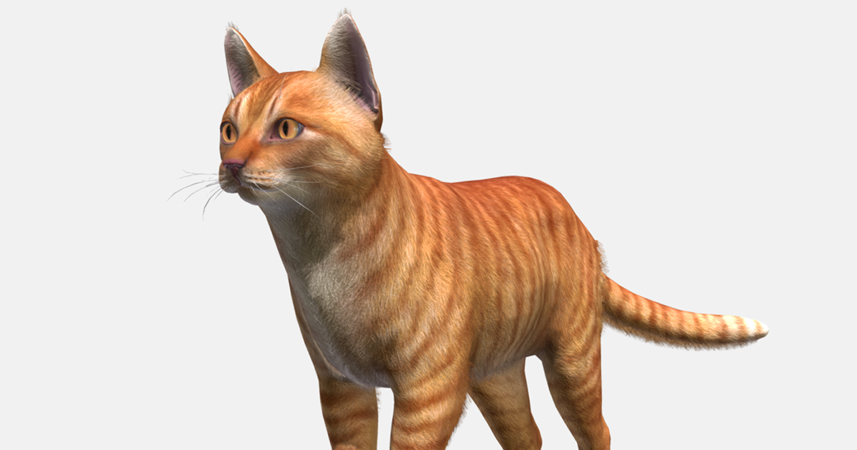 Cat - Simple | Characters | Unity Asset Store