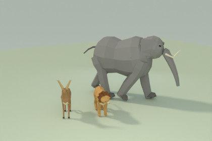 Low Poly Animals Pack
