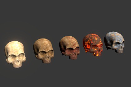 3D Skull
