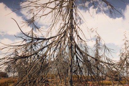 Mobile Winter Tree Pack 2