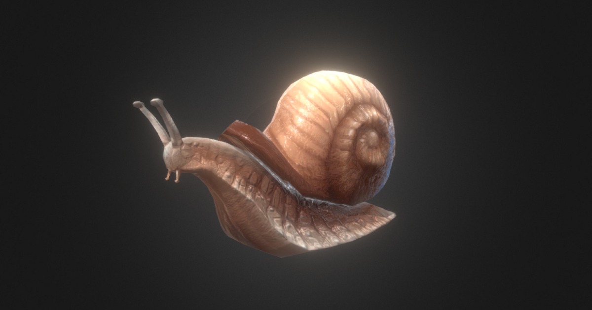 Snail | 3D Animals | Unity Asset Store