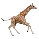 Animated Giraffe
