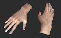 Realistic Hands - animated for VR