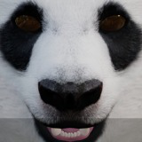 Bear Pack (AnimalDev)