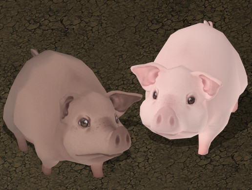 Pig Unity Hand Painted Pig | 3D Characters | Unity Asset Store